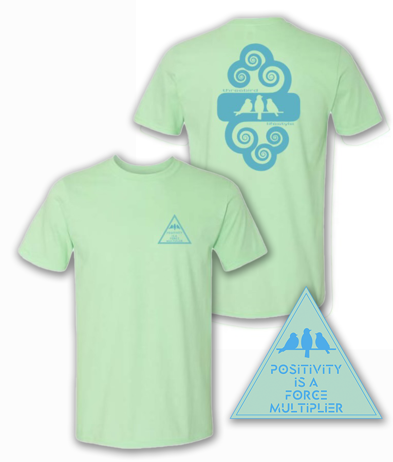3 Bird Lifestyle T-Shirt • Positivity Is A Force Multiplier • Mint Green & Blue