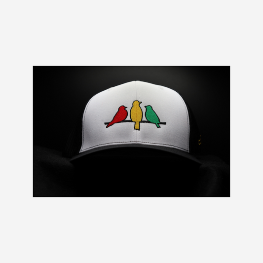 3 Bird Lifestyle Trucker Hat • Embroidered Rasta Birds