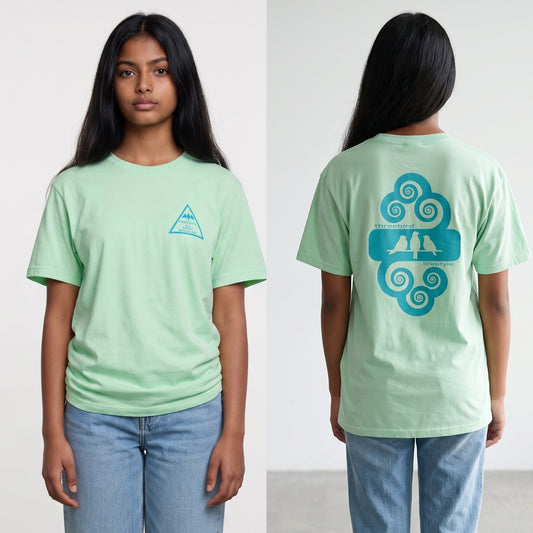 3 Bird Lifestyle T-Shirt • Positivity Is A Force Multiplier • Mint Green & Blue